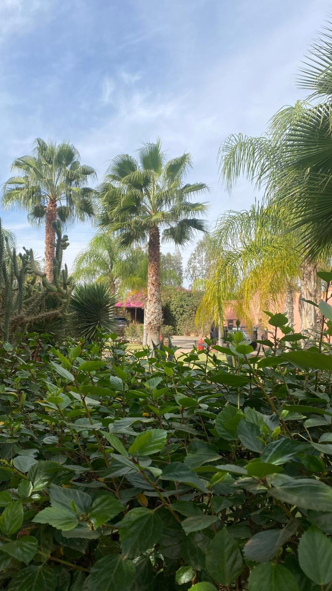 Отель Le Rubis Oriental Marrakech Azib Oulad Ladem Экстерьер фото